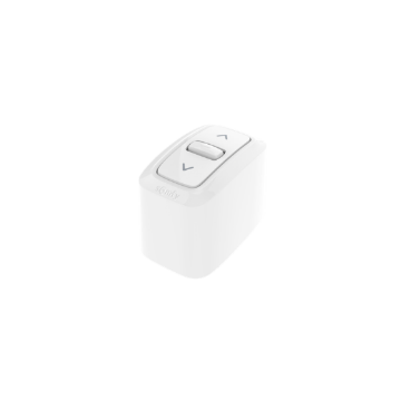 Somfy INIS Mounted Box FP